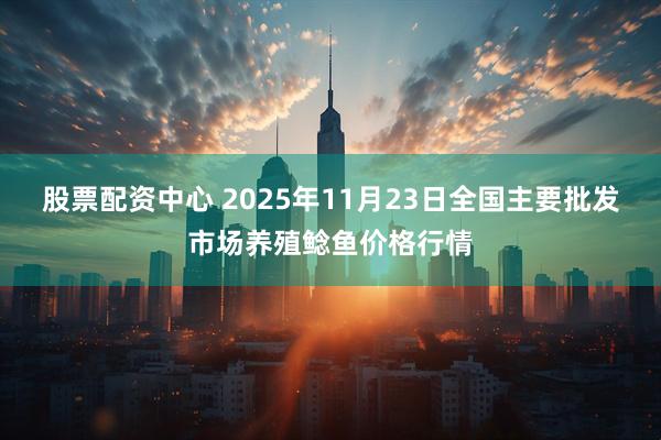 股票配资中心 2025年11月23日全国主要批发市场养殖鲶鱼价格行情